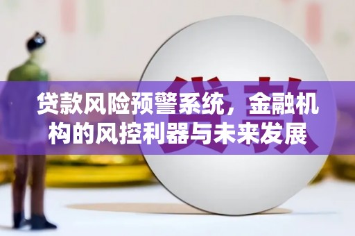 当阳贷款风险预警系统，金融机构的风控利器与未来发展