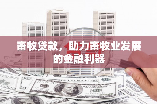 当阳畜牧贷款，助力畜牧业发展的金融利器
