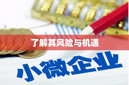 当阳了解其风险与机遇