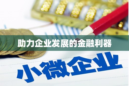 当阳助力企业发展的金融利器