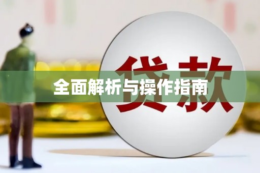 当阳全面解析与操作指南
