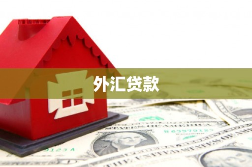 当阳外汇贷款