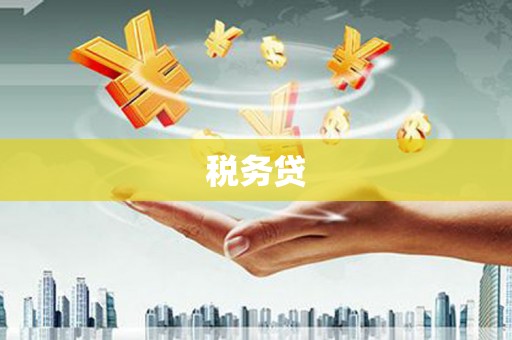 当阳税务贷