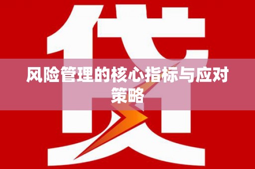 当阳风险管理的核心指标与应对策略