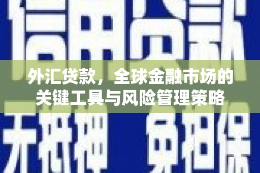 当阳外汇贷款，全球金融市场的关键工具与风险管理策略