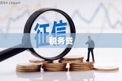 当阳税务贷