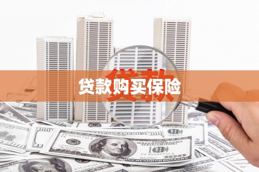 当阳贷款购买保险