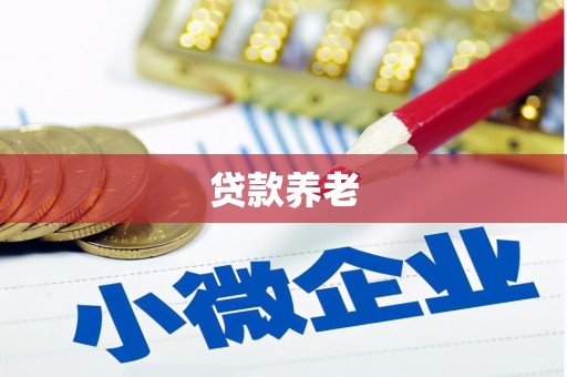 当阳贷款养老