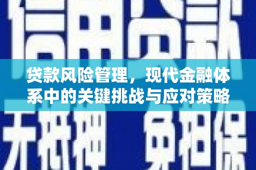当阳贷款风险管理，现代金融体系中的关键挑战与应对策略