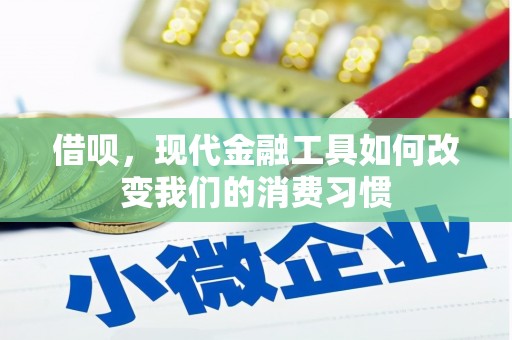 当阳借呗，现代金融工具如何改变我们的消费习惯