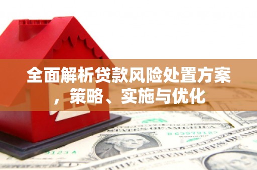 当阳全面解析贷款风险处置方案，策略、实施与优化