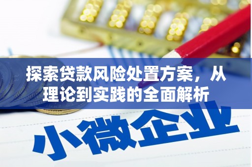当阳探索贷款风险处置方案，从理论到实践的全面解析