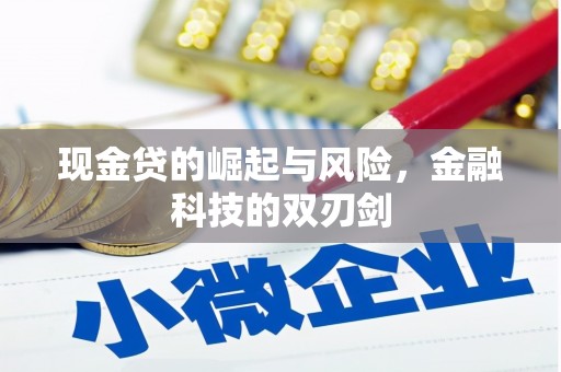 当阳现金贷的崛起与风险，金融科技的双刃剑