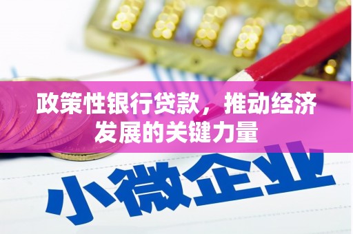 当阳政策性银行贷款，推动经济发展的关键力量
