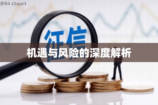 当阳机遇与风险的深度解析