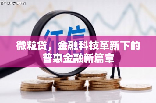当阳微粒贷，金融科技革新下的普惠金融新篇章