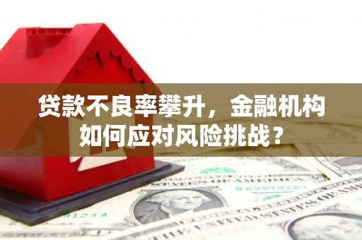 当阳贷款不良率攀升，金融机构如何应对风险挑战？