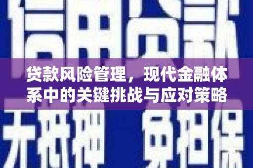 当阳贷款风险管理，现代金融体系中的关键挑战与应对策略
