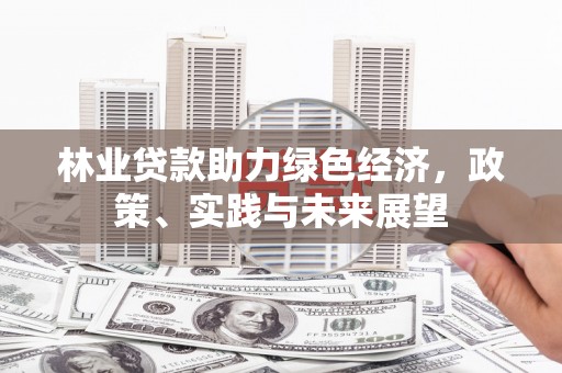 当阳林业贷款助力绿色经济，政策、实践与未来展望
