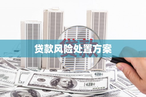 当阳贷款风险处置方案