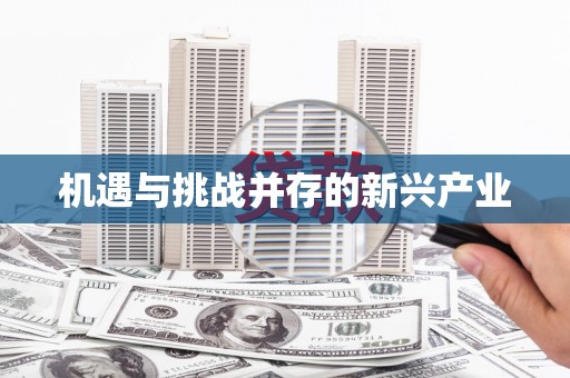 当阳机遇与挑战并存的新兴产业