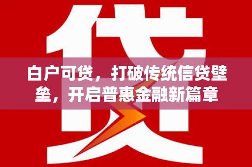 当阳白户可贷，打破传统信贷壁垒，开启普惠金融新篇章