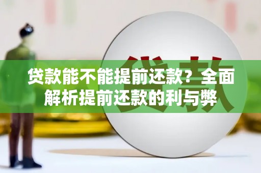 当阳贷款能不能提前还款？全面解析提前还款的利与弊