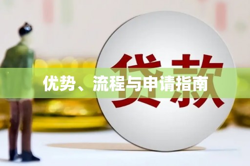 当阳优势、流程与申请指南