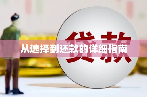 当阳从选择到还款的详细指南
