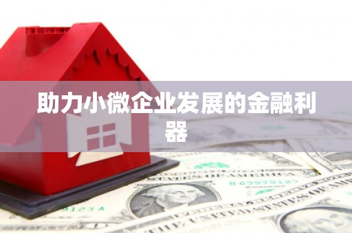 当阳助力小微企业发展的金融利器