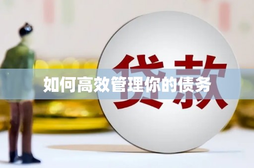 当阳如何高效管理你的债务