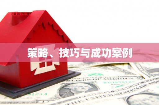 当阳策略、技巧与成功案例