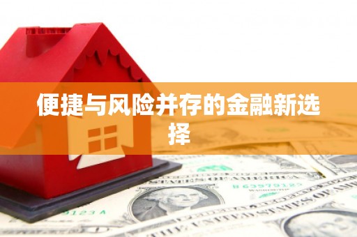 当阳便捷与风险并存的金融新选择