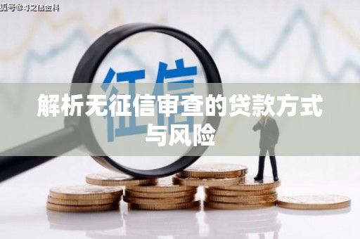 当阳解析无征信审查的贷款方式与风险