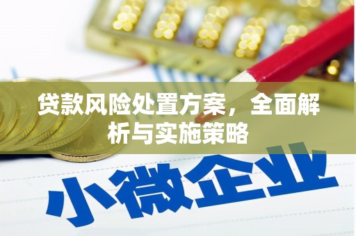 当阳贷款风险处置方案，全面解析与实施策略