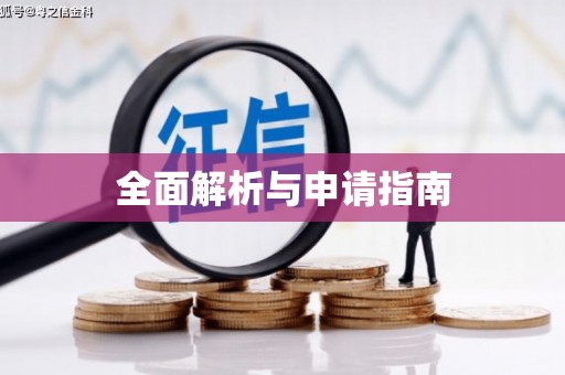 当阳全面解析与申请指南