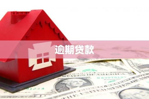 当阳逾期贷款